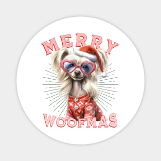 Funny Chinese Crested Dog Santa  Christmas Design Magnet